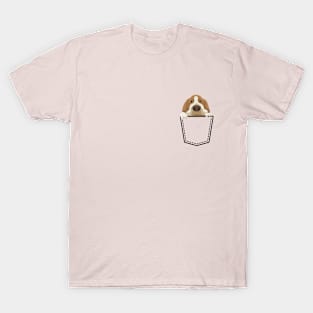 Basset Hound on pocket T-Shirt
